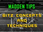 Blitz Concepts and Techniques blitz concepts techniques