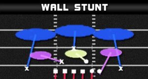 46 bear wall stunt
