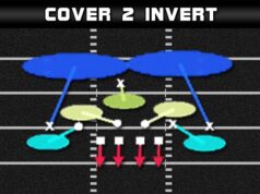 madden plays 46 normal cover 2 invert