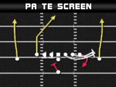 singleback ace pa te screen