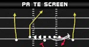 singleback ace pa te screen