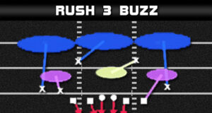 madden plays nickel double a gap rush 3 buzz banner def