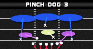 madden plays a gap pressure 3 4 bear pinch dog 3 play diagram