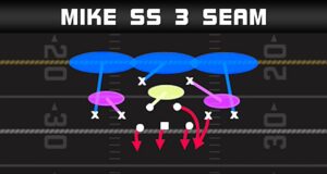 madden tips blitz setup dime 1 4 6 mike ss 3 seam play diagram