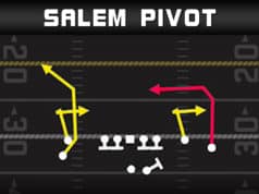 salem pivot gun stack y flex play diagram